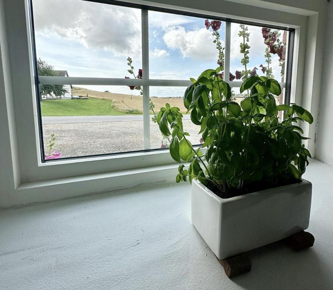 Lilla Stenhuset Ystad Exteriör bild